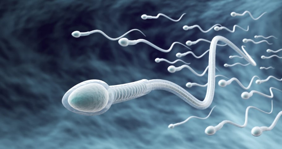 congelamento-de-semen-dr-jose-roberto-lambert-reproducao-assistida-santo-andre-sp