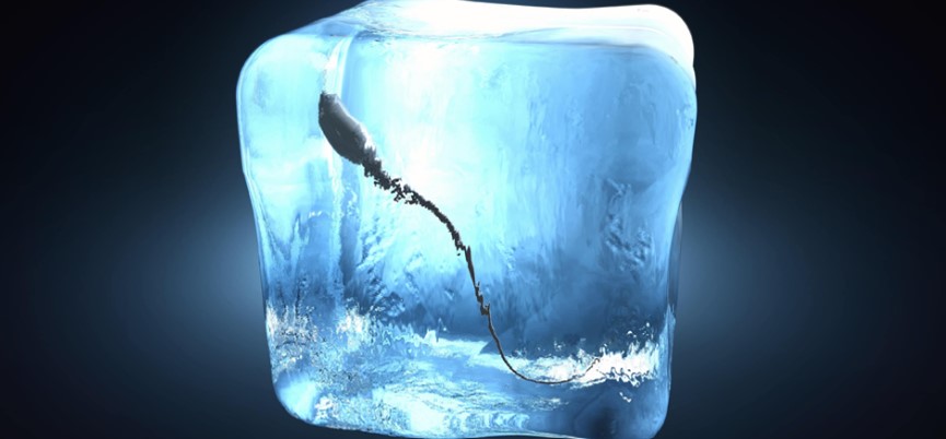 semen-congelado-perde-qualidade-dr-jose-roberto-lambert-reproducao-assistida-clinica-fertilizacao-in-vitro-santo-andre-sp