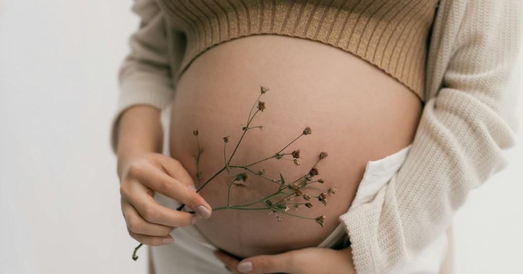 preservacao-fertilidade-garante-gravidez-futura-dr-jose-roberto-lambert-reproducao-assistida-santo-andre-sp