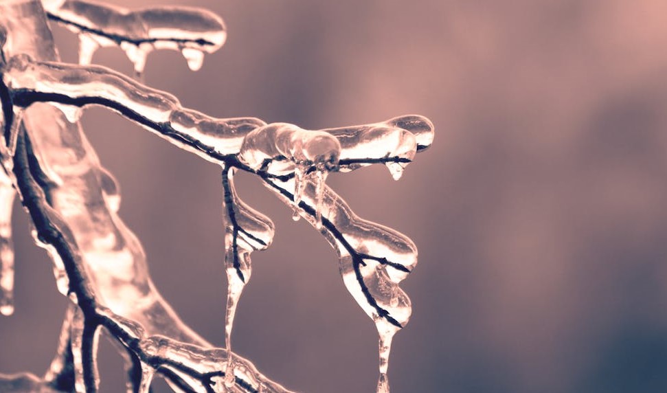 congelamento-de-ovulos-para-todas-mulheres-preservacao-fertilidade-dr-jose-roberto-lambert-reproducao-assistida-santo-andre-sp