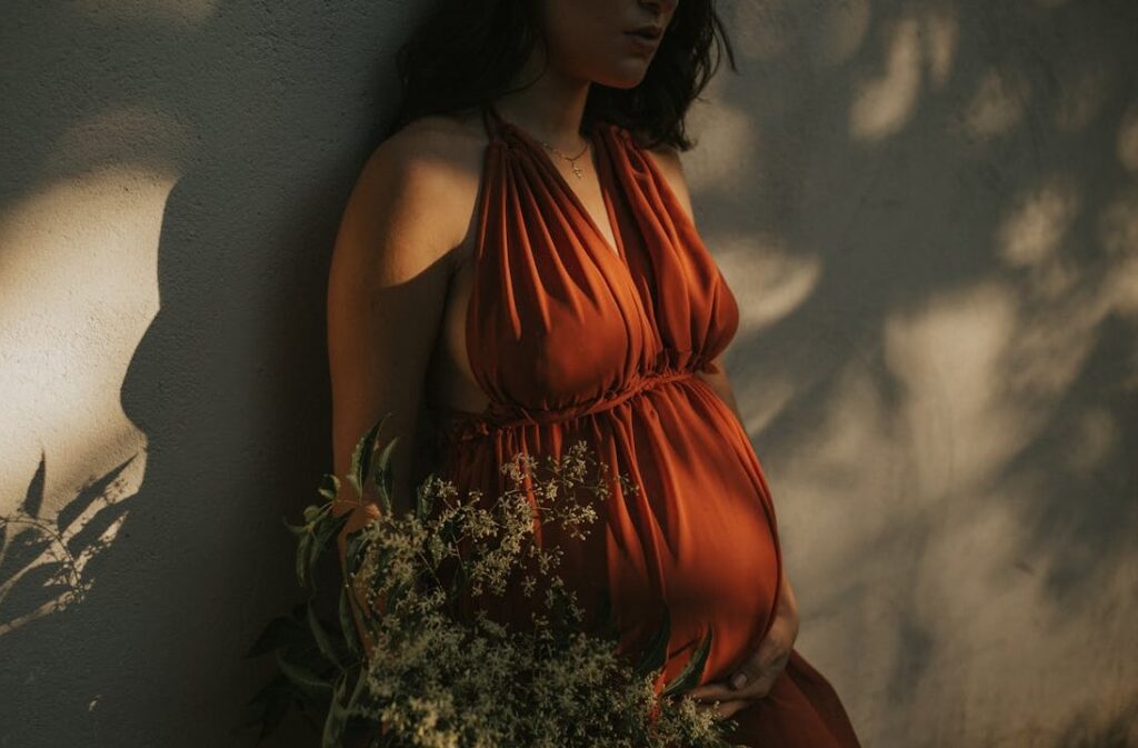 doacao-utero-substituição-ou-cirurgico-dr-jose-roberto-lambert-reproducao-assistida-santo-andre-sp