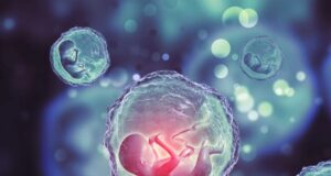 pgta-analise-genetica-fiv-dr-jose-roberto-lambert-reproducao-assistida-fiv-fertilizacao-in-vitro-santo-andre-sp